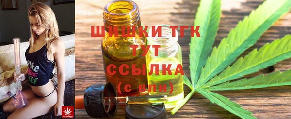 дживик Арсеньев