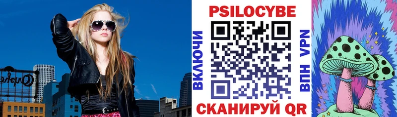 Псилоцибиновые грибы мицелий  закладки  Макаров 