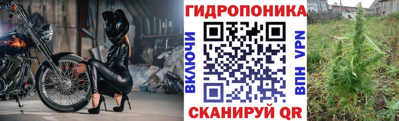 Каннабис конопля Макаров